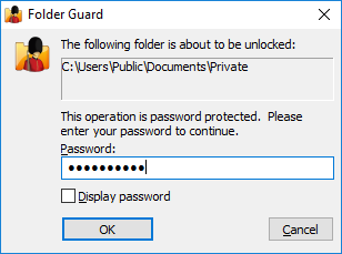 Enter the password to unlock the folder 